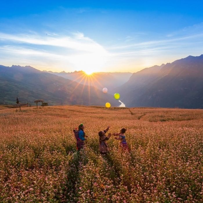 Bánh tam giác mạch và rượu ngô Đồng Văn — ẩm thực truyền thống H'Mông bên cạnh hoa