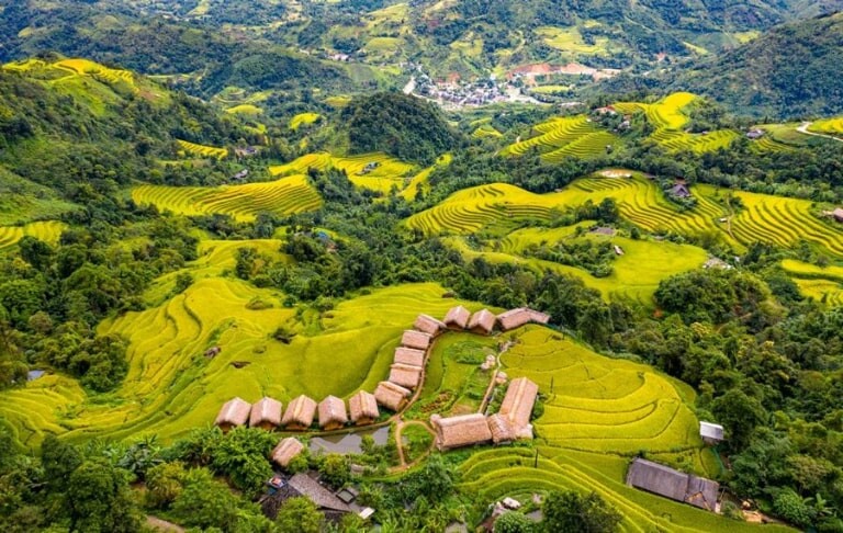 Ruộng bậc thang Hoàng Su Phì trải vàng từ chân núi lên đến mây mù trong mùa lúa chín tháng 9