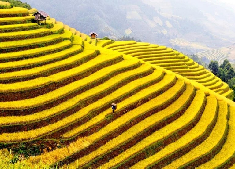 Hệ thống mương nước dẫn từ khe suối xuống từng bậc ruộng — kỳ công thủy lợi hàng trăm năm tuổi