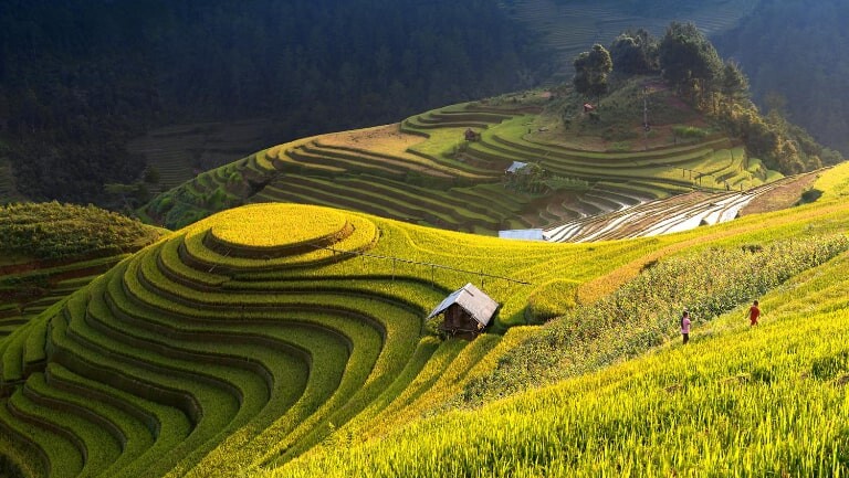 Tháng 5–6, ruộng bậc thang đổ nước phản chiếu như gương nhìn từ trên cao