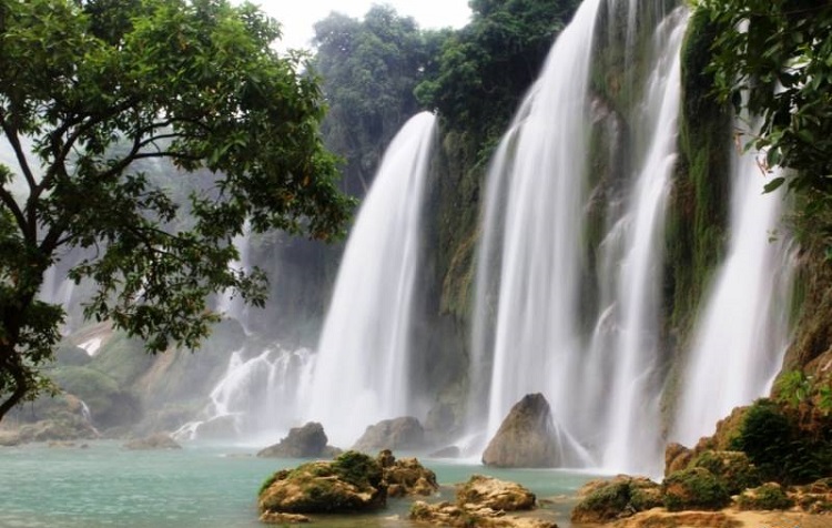 Con đường mòn xuyên rừng khộp trong mùa thay lá — thảm lá vàng phủ kín lối đi
