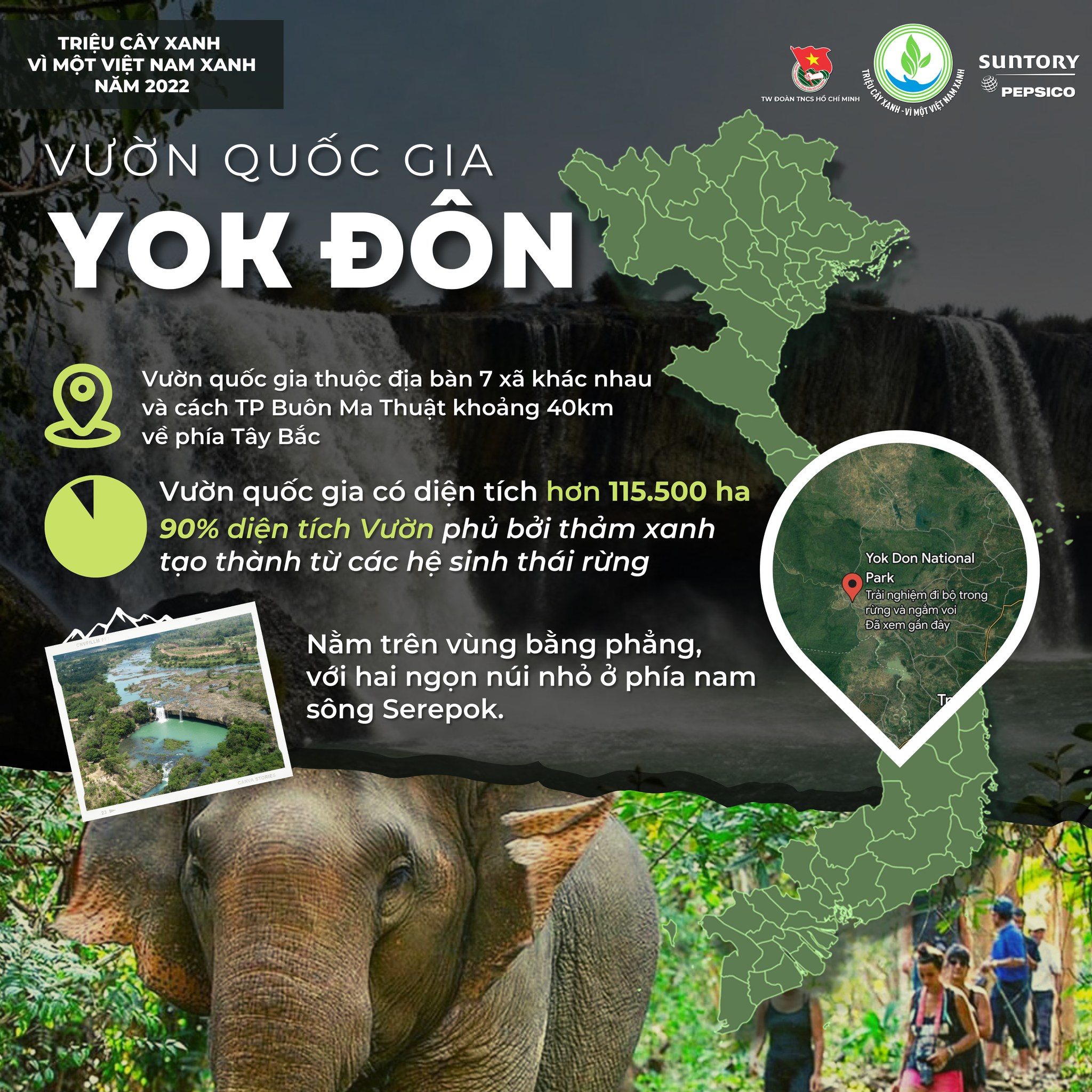 Bò tót (Gaur) trong rừng khộp Yok Đôn — loài thú lớn biểu tượng của vườn quốc gia